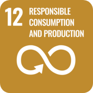 12 - RESPONSIBLE CONSUMPTION AND PRODUCTION