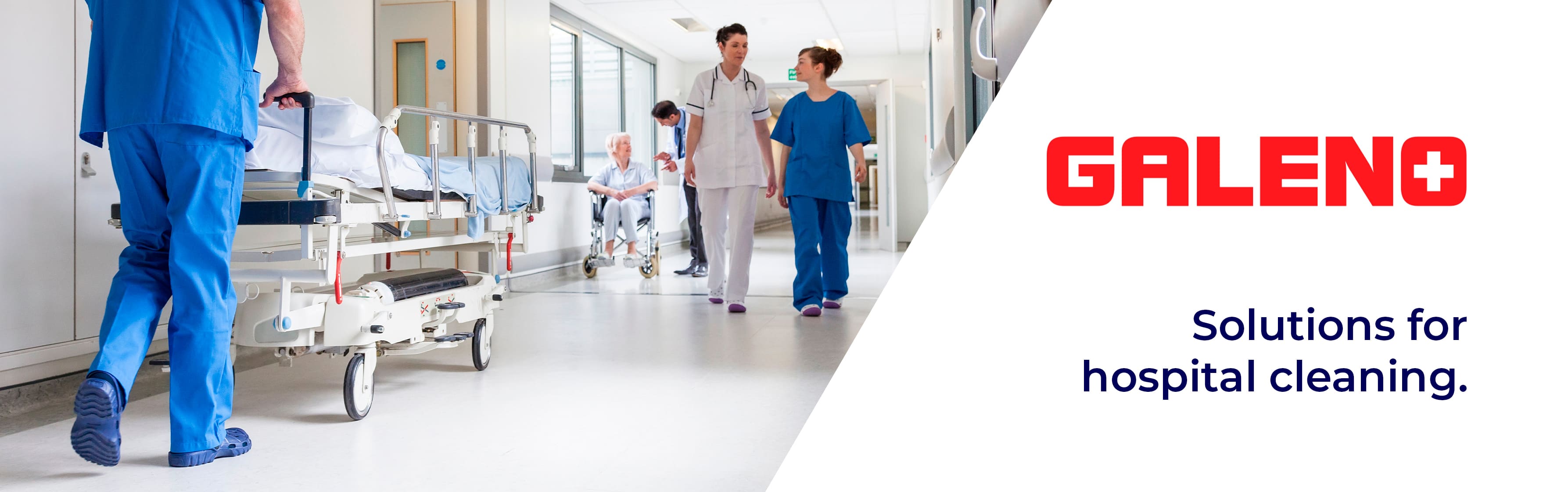 Banner Galeno