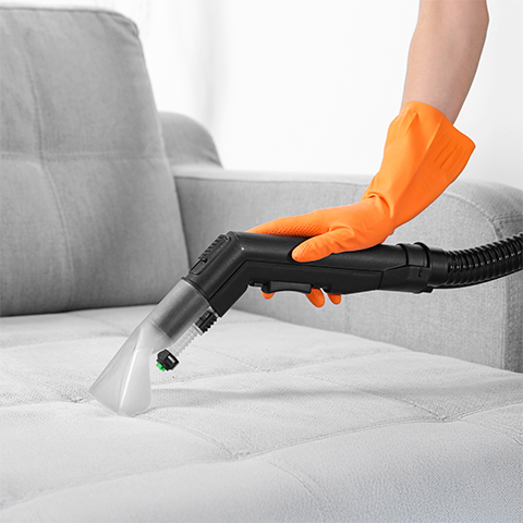 Maximoom na limpeza a seco de sofá, tapetes e carpetes 