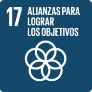 17 - ALIANZAS PARA LOGRAR LOS OBJETIVOS