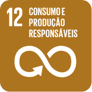 12 Consumo e produção responsáveis