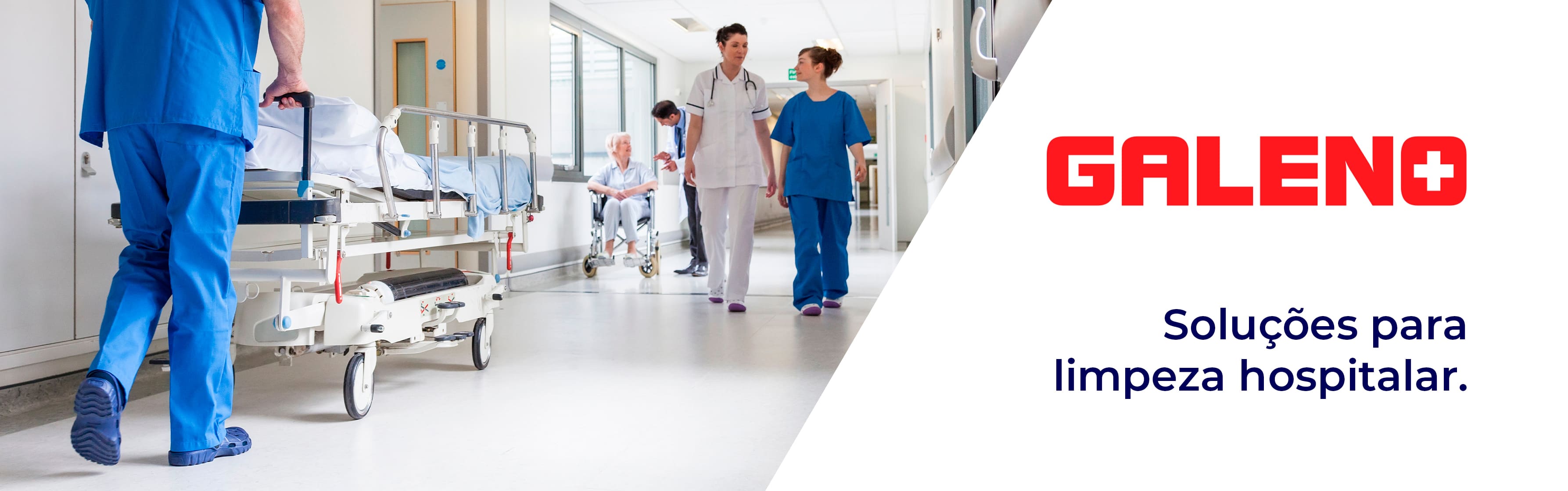 Banner Galeno