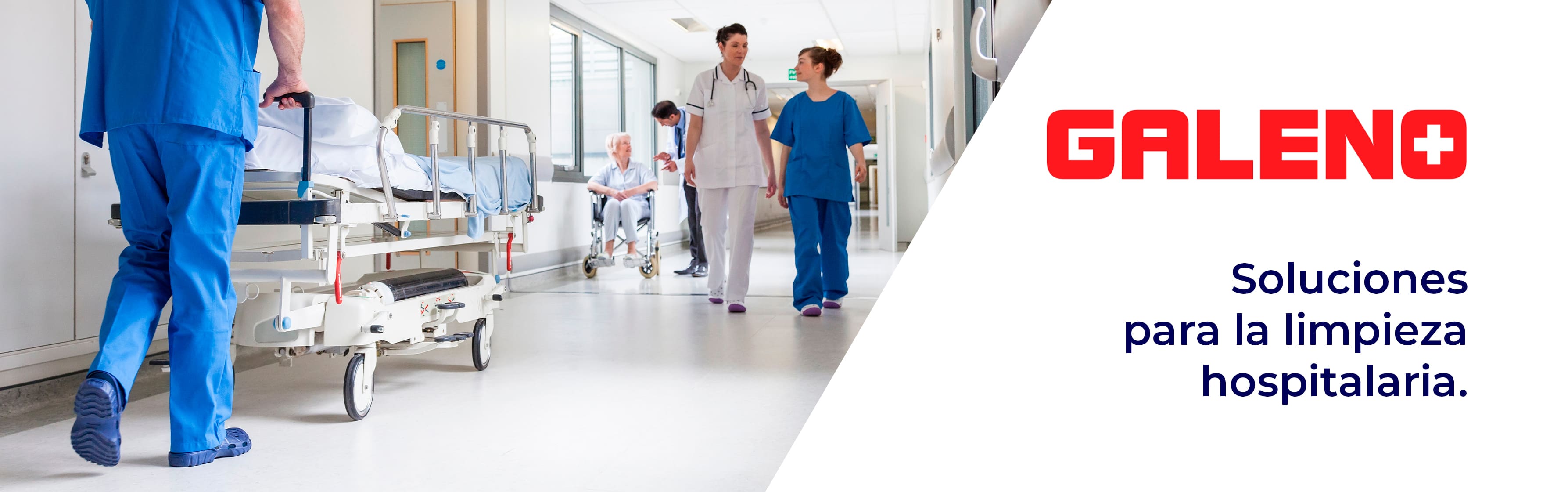 Banner Galeno